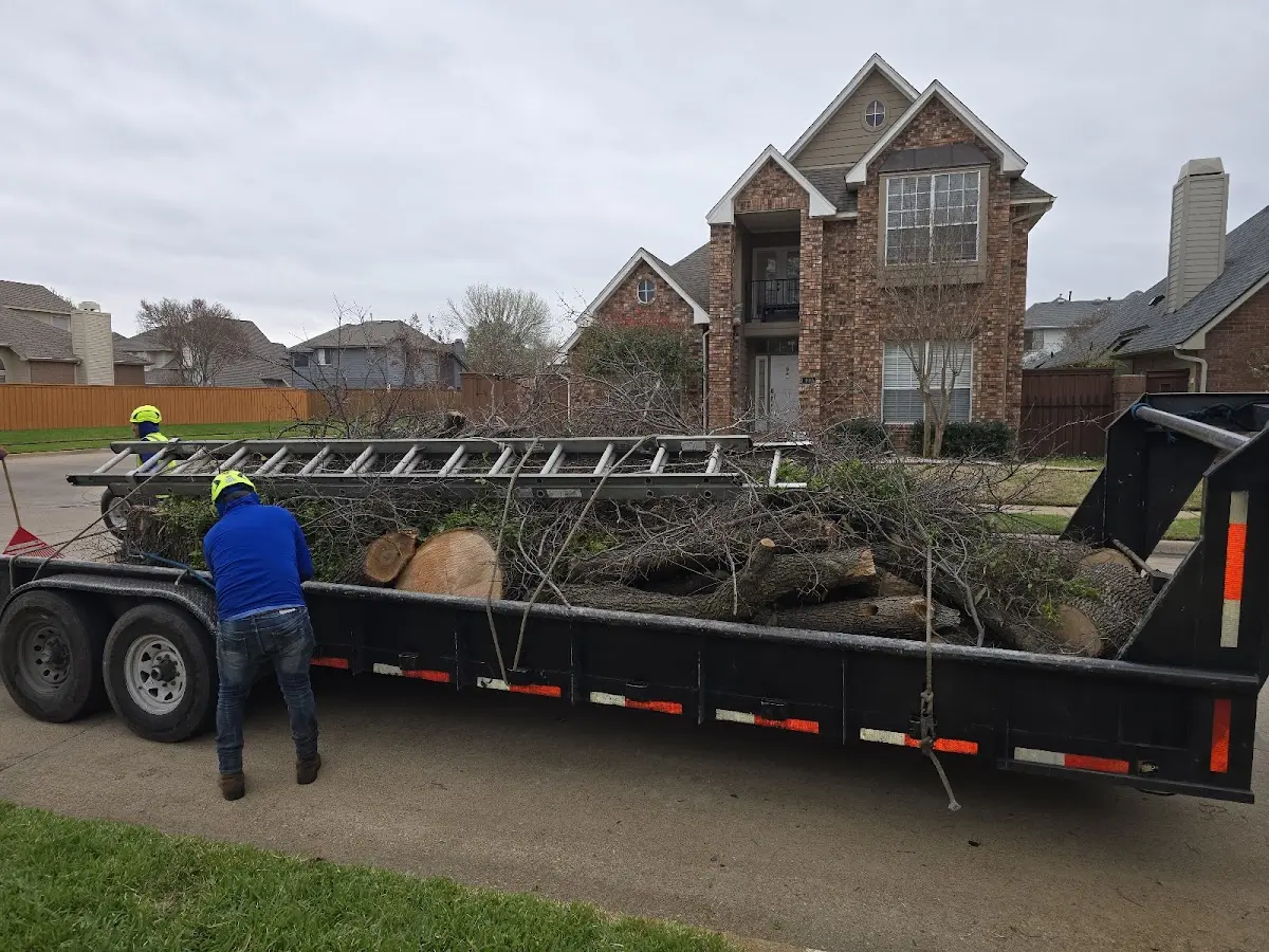 Expert Tree Removal with proper safety equipment in Vermillion